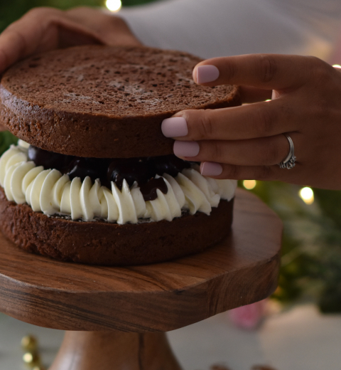 Wiener Choco Sponge Cake