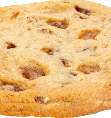 Caramel Pecan Cookie Puck