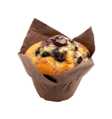 Muffin Blueberry