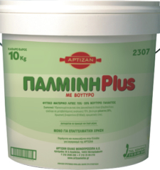Palmini plus