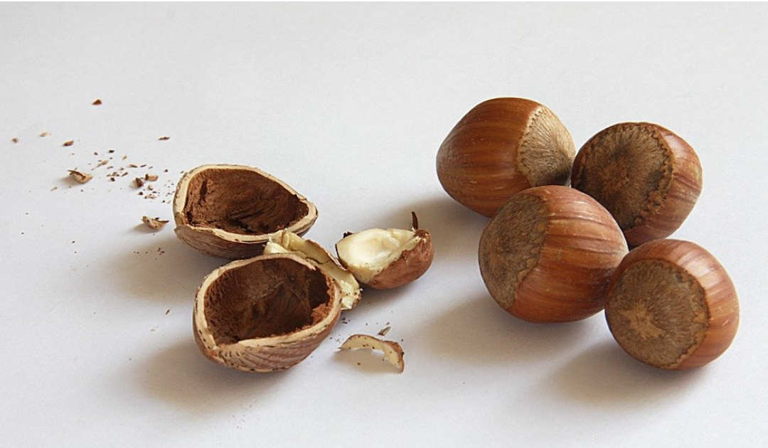 ALBA Hazelnut 100%
